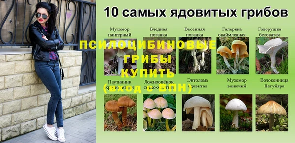 бошки Верхнеуральск